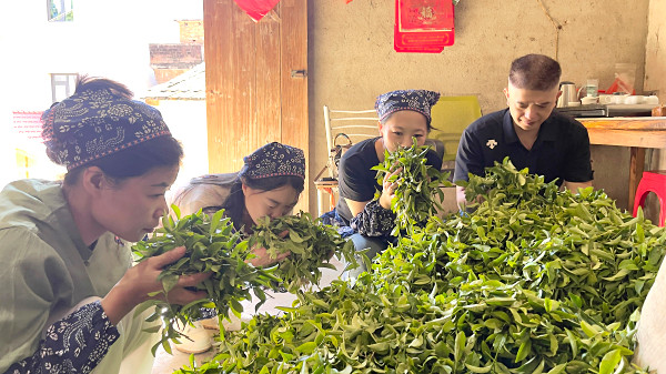 茶艺师培训课程内容