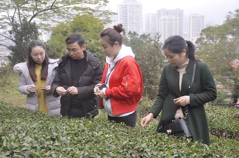 成都茶艺师培训多少钱? 天晟茶艺培训学校